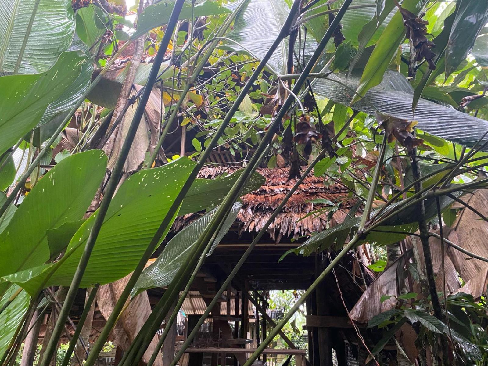 Xingu Camping Site Leticia Exterior photo