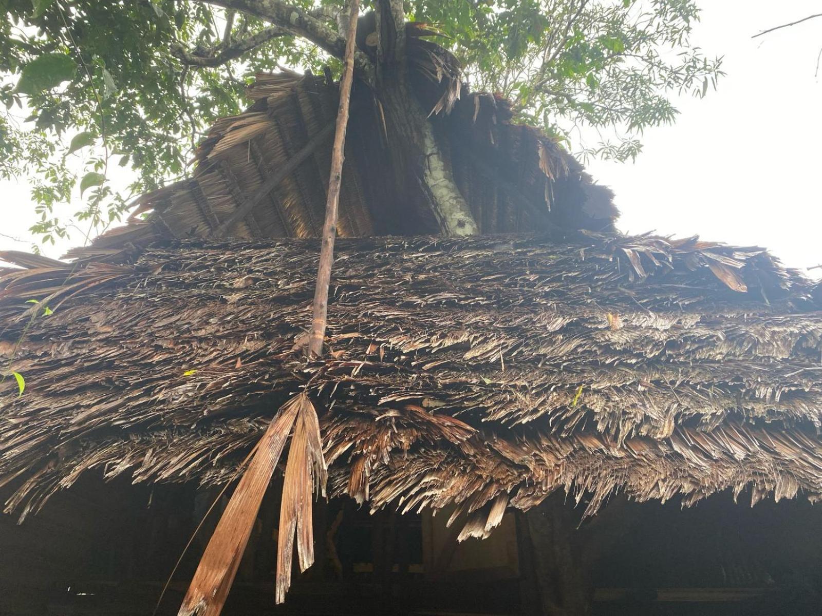 Xingu Camping Site Leticia Exterior photo