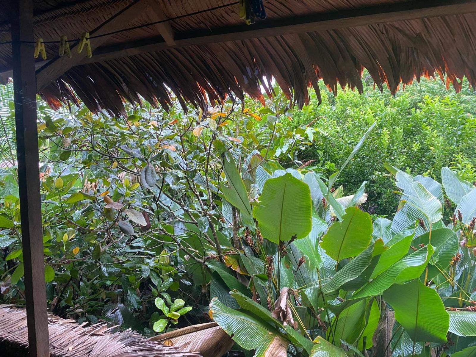 Xingu Camping Site Leticia Exterior photo