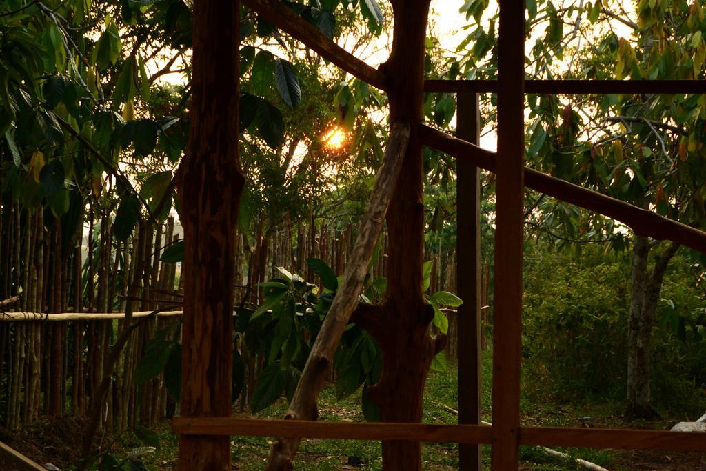 Xingu Camping Site Leticia Exterior photo
