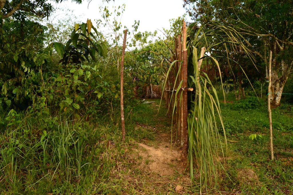 Xingu Camping Site Hotel Leticia Exterior photo