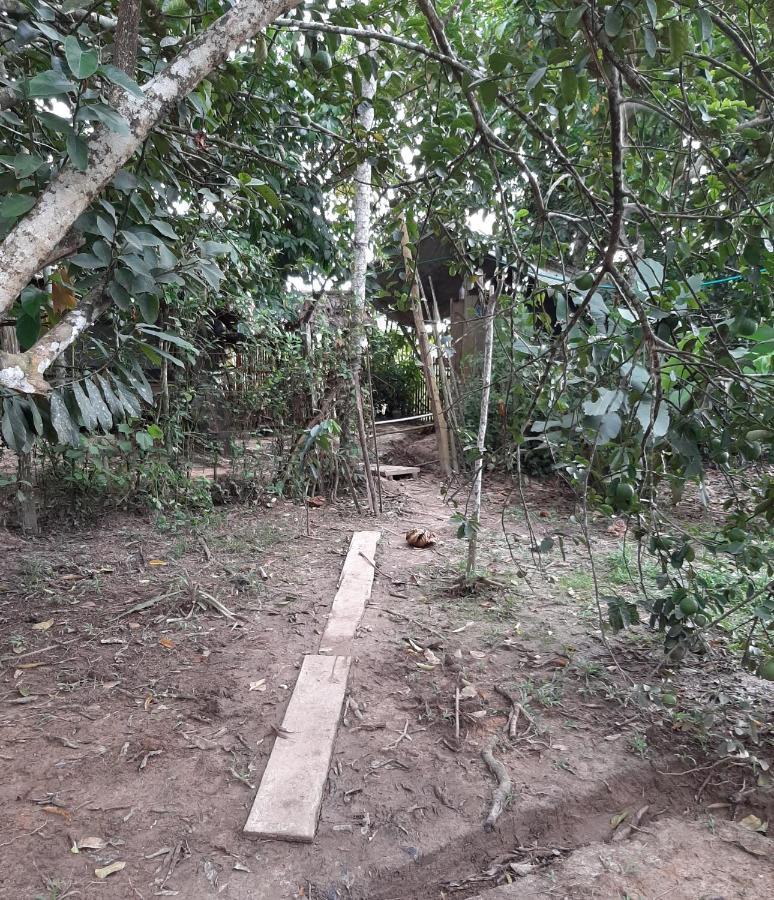 Xingu Camping Site Leticia Exterior photo