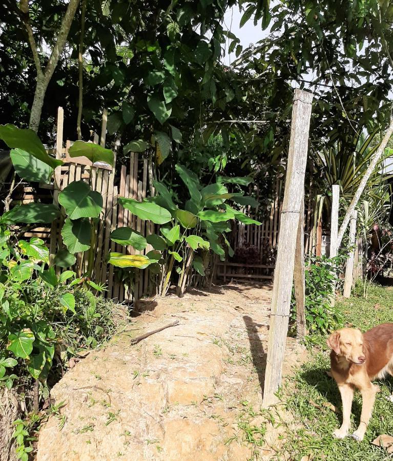 Xingu Camping Site Hotel Leticia Exterior photo