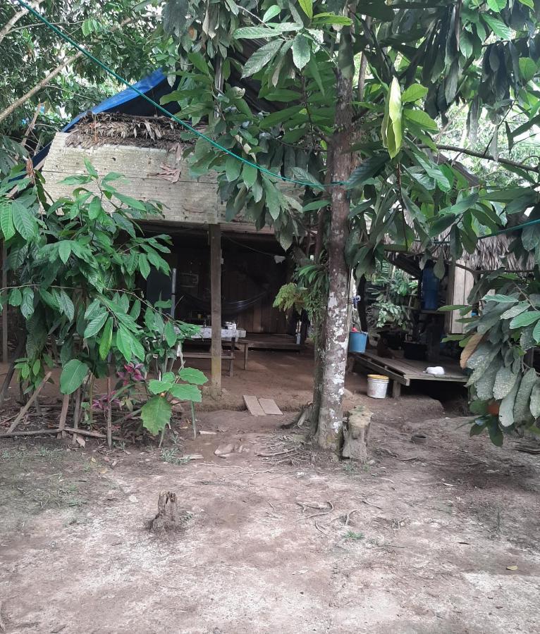 Xingu Camping Site Leticia Exterior photo