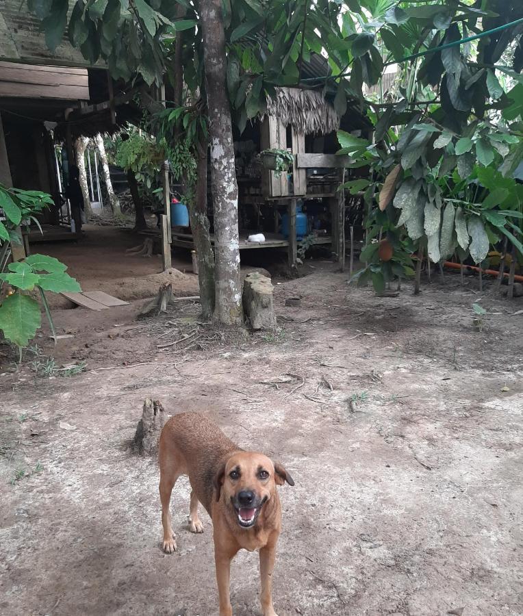 Xingu Camping Site Leticia Exterior photo