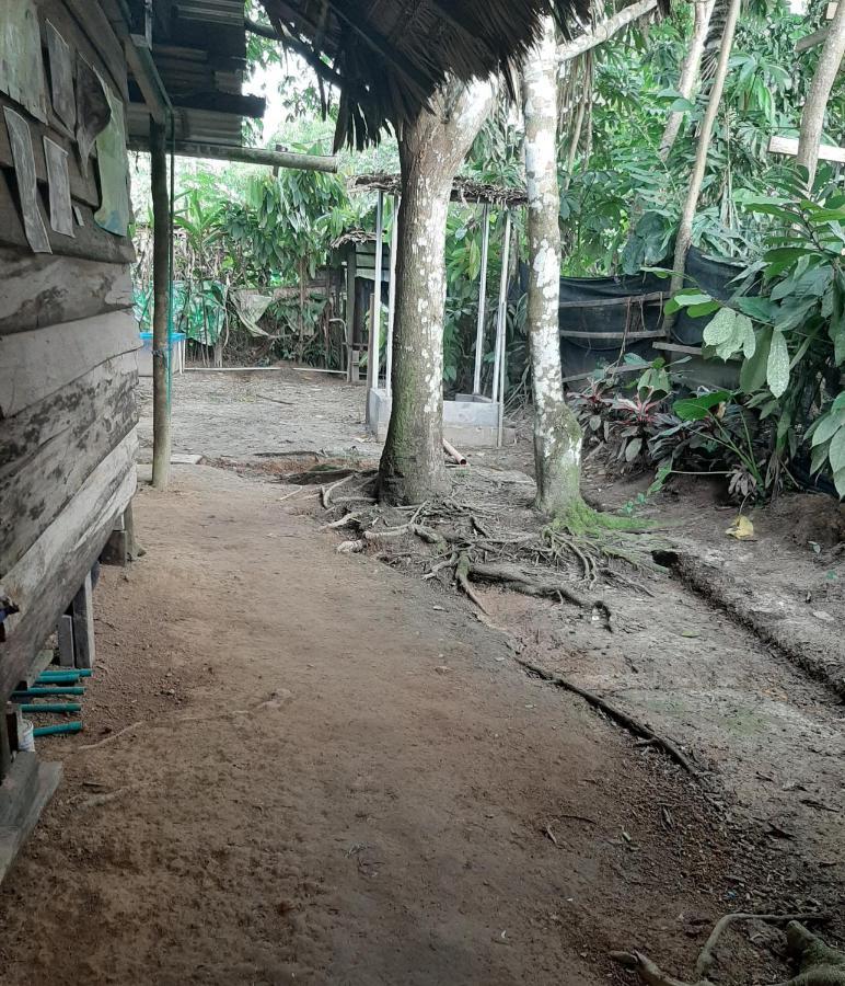 Xingu Camping Site Leticia Exterior photo